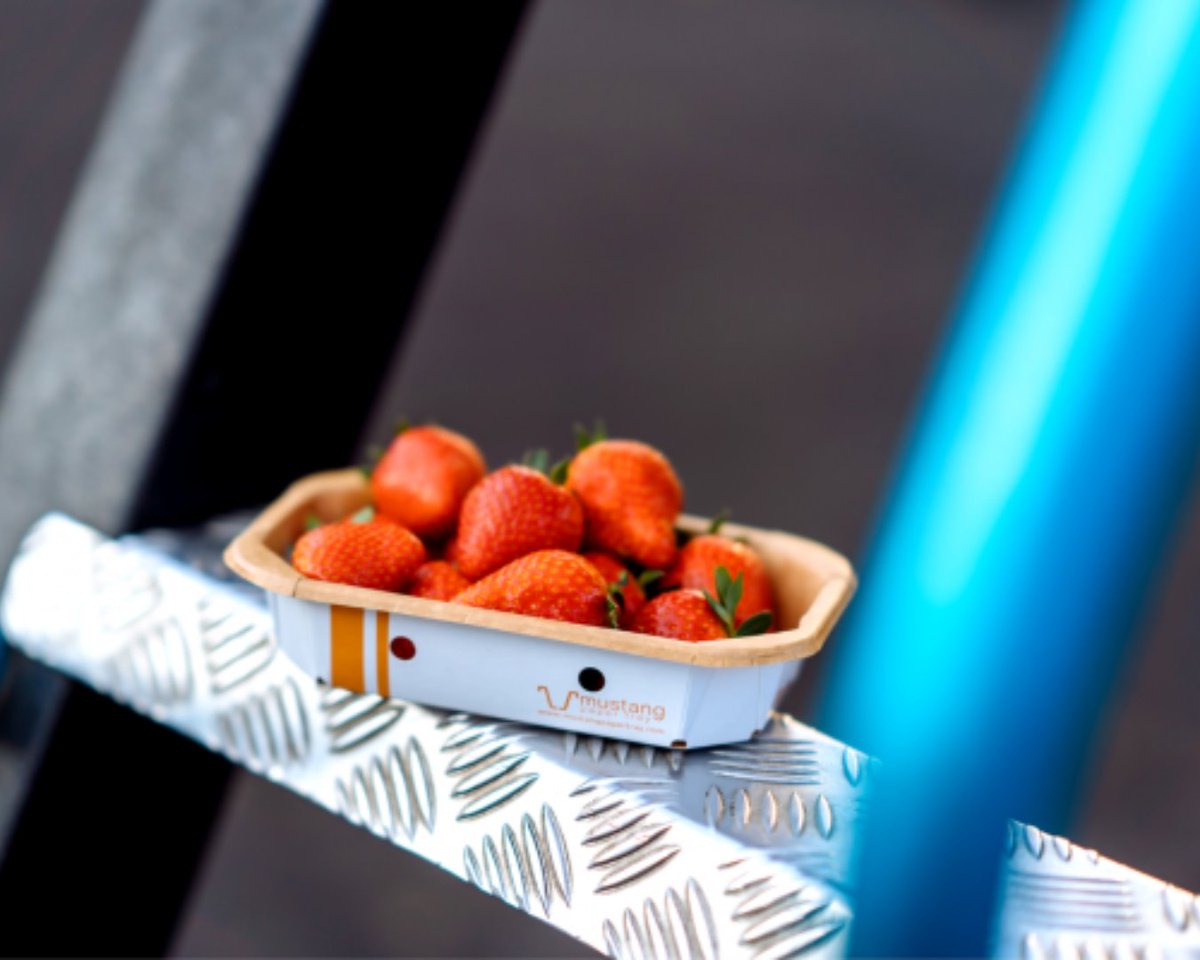 ♻ Ci assicuriamo che i nostri prodotti siano ecosostenibile e riciclabili al 100% perché è giusto prendersi cura dei prodotti, rispettare i consumatori e naturalmente il nostro pianeta

📩 Contattaci al DM per creare la tua linea packaging ecosostenibile!
☎️ +39 08281994097