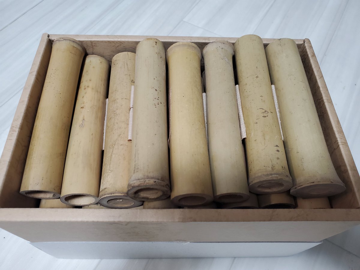 調査用にと、ご厚意で送って下さった竹筒トラップが到着した。

クチキウマ調査に活用していきたい。