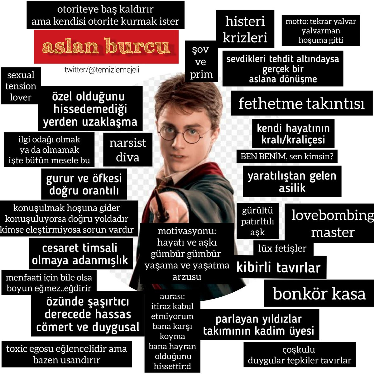 ☉ aslan burcu ve aslan etkililerin dna kodları