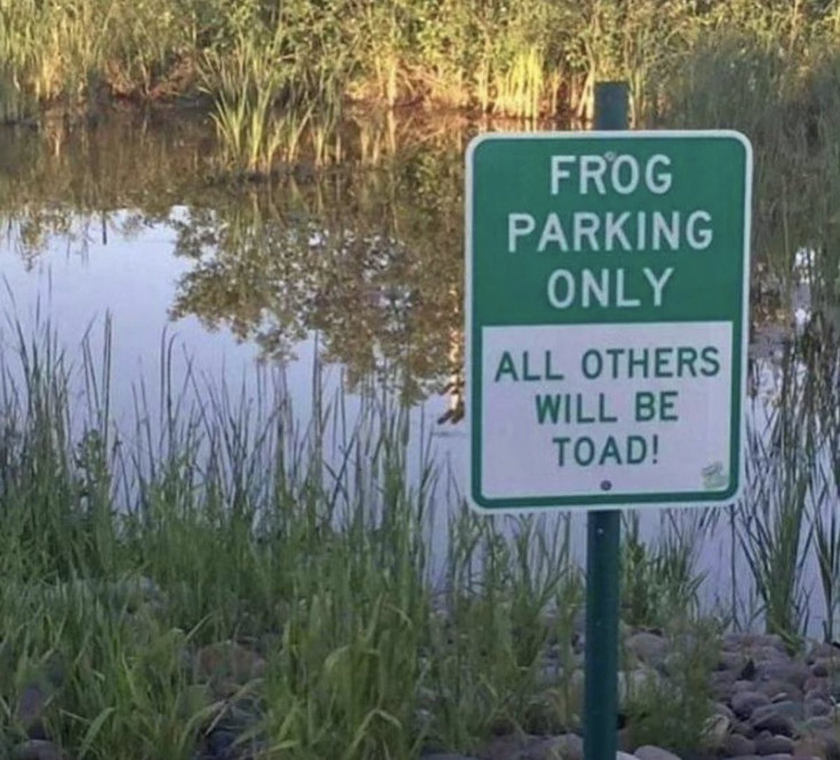 WICKED_Queen12's tweet image. I’ll see myself out 😂😂