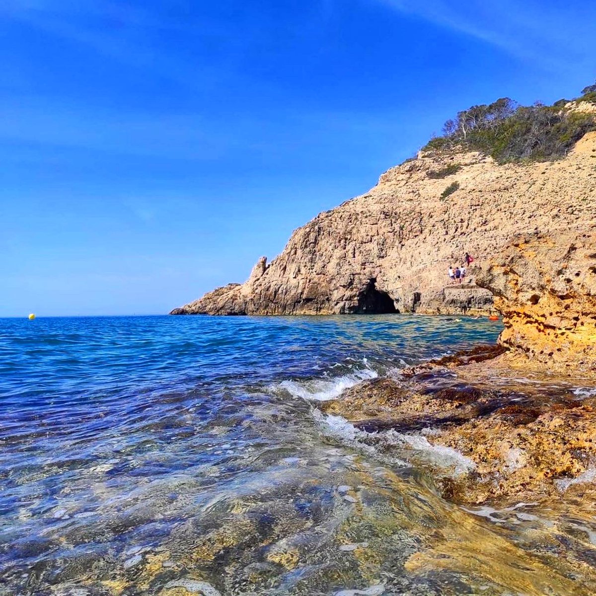 Avui 🥵 només es pot estar ben a prop del mar i gaudir d’aquestes aigües transparents. Fotos a Instagram: @silmunne 

#hospitaletdelinfant #costadaurada #catalunyaexperience #descobreixcatalunya #narimuntanya #natura #aguascristalinas #aigüestransparents #naturaleza #paradise