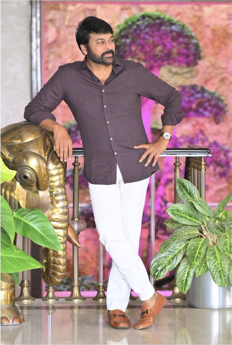 NNaidu2's tweet photo. మెగాస్టార్ అంటే శిఖరం, శిఖరాగ్రం 
మెగాస్టార్ అంటే కష్టే ఫలి
మెగాస్టార్ అంటే సంస్కారం, మానవత్వం
మెగాస్టార్ అంటే ప్యూర్ స్టార్ పవర్ ని నిర్వచ్చించిన వాడు
మెగాస్టార్ అంటే మధ్య తరగతి యువతకి స్ఫూర్తి
మెగాస్టార్ అంటే తెలుగు సినిమా గమనాన్ని మార్చిన వాడు 
HBD @KChiruTweets https://t.co/1Id4c9p1sp