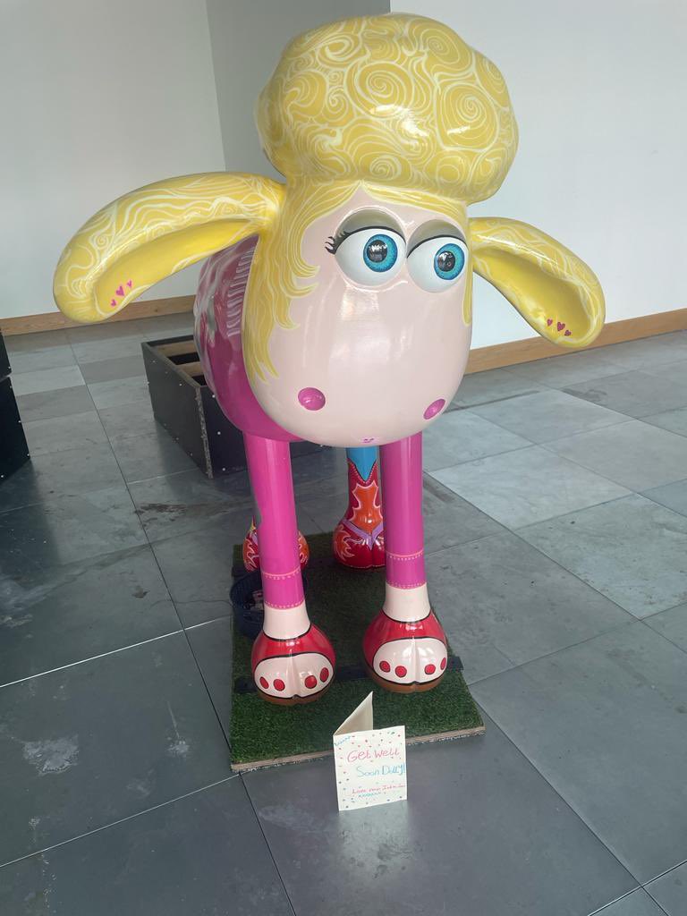 ** Happy news alert! **Dolly Baa-ton has returned from the beautician &amp; will return to the trail later this week. Special thanks to little India-Mae, who was so sad to hear that Dolly had been injured, that she made her a get well soon card 💙🐑#ProtecttheFlock #ShaunOnTheTyne