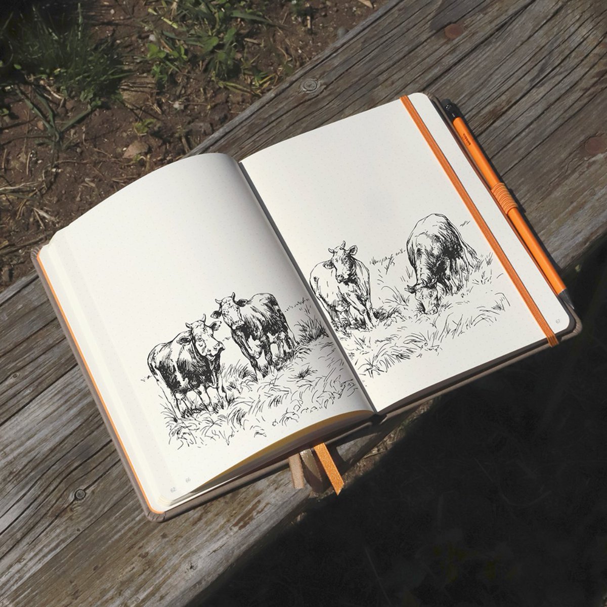 Goalbooks are the go anywhere book for sketches and so much more. You can organize your days, scribble, plan and choose your own layout with our dot grid.

#Rhodia #Goalbooks #RhodiaGoalbooks