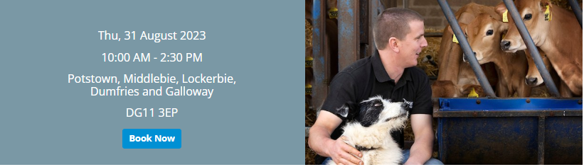 Doreen Anderson tweet media