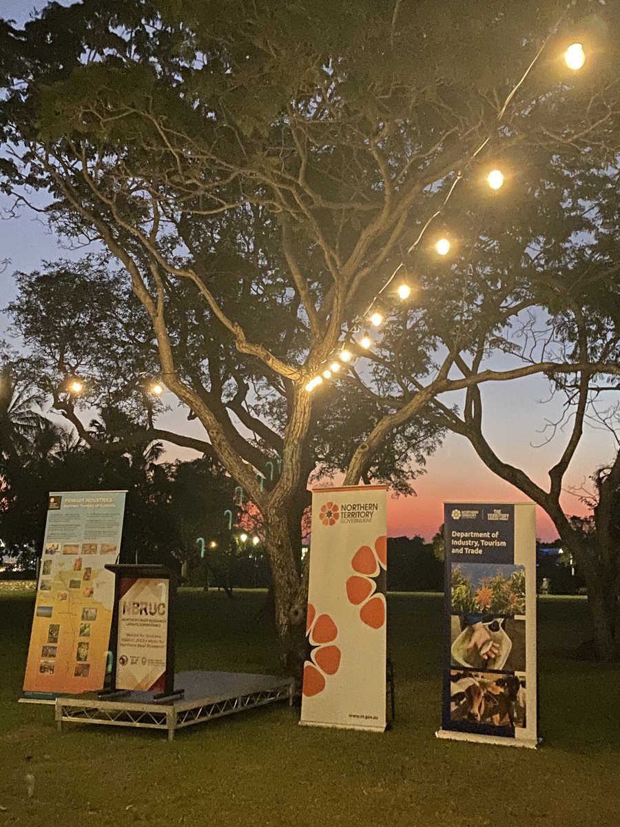 A beautiful evening on the Foreshore Lawns in Darwin for the Northern Territory Department of Industry, Trade and Tourism NBRUC 2023 Welcome Reception. #NABRC #NBRUC2023