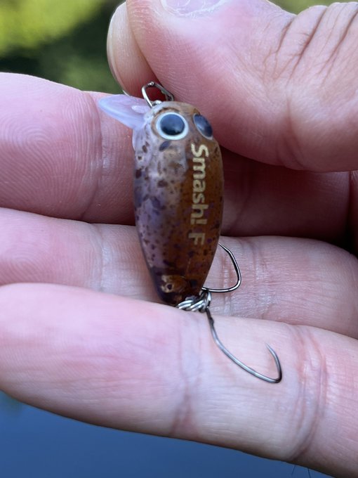 HIT LUREまとめ②
・トレモスマッシュF 
・RCシケイダー各色
この日ハマったクランクがトレモスマッシュ。確かキャスティングで買ったオリカラだった気がする茶系カラー。同じクランクで釣れ続くのは珍しく、30匹ぐらい釣れ続いたけど粘ればまだまだ釣れたかも
#ゆ～のすフィッシング 