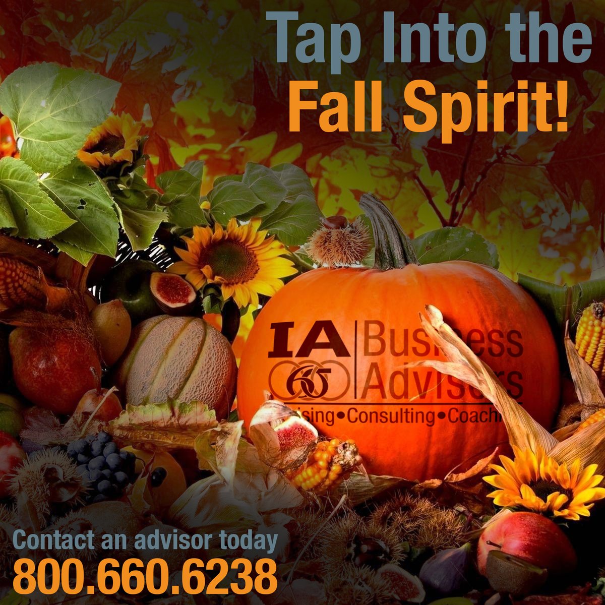 IA_Biz_Advisors's tweet image. As advisors our job is to give you fall marketing ideas for your small business and help execute them. Not so sure where to start? Let our advisors influence your business strategy this fall. Contact an advisor today. 
#summertofall #strategy #individualinfluence #businesstips