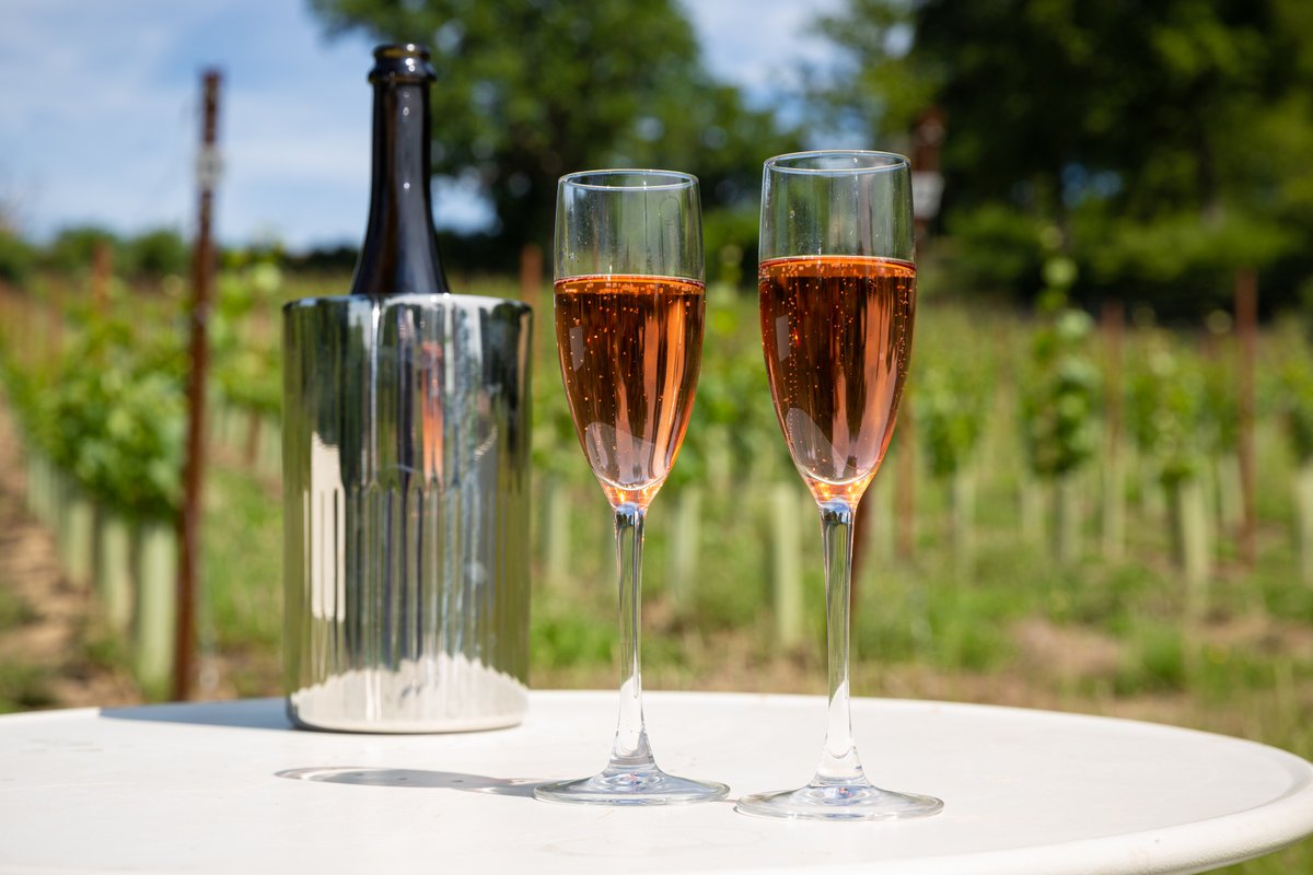 We make it our mission to understand the wines you love enabling us to plant bespoke vineyards and make the perfect wine for sharing with friends.

#englishwine #vineyard #ukvineyard #winegb #britishwine #englishwinemovement #viticulture #englishwineproject