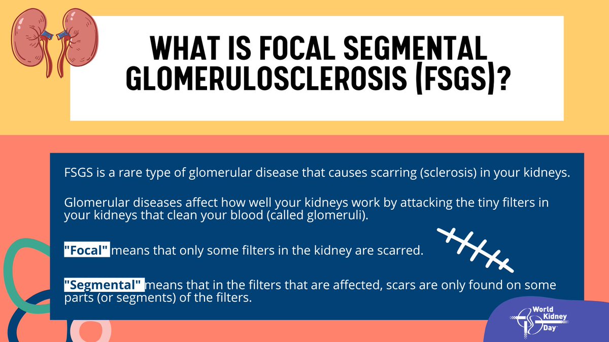 worldkidneyday's tweet photo. FSGS is a long-term (chronic) disease that cannot be reversed. Scarring can make it hard for your kidneys to filter out wastes from your body. Treatment can help slow down kidney disease, but over time some patients reach kidney failure. #WorldKidneyDay https://t.co/cCtK4YaDEX