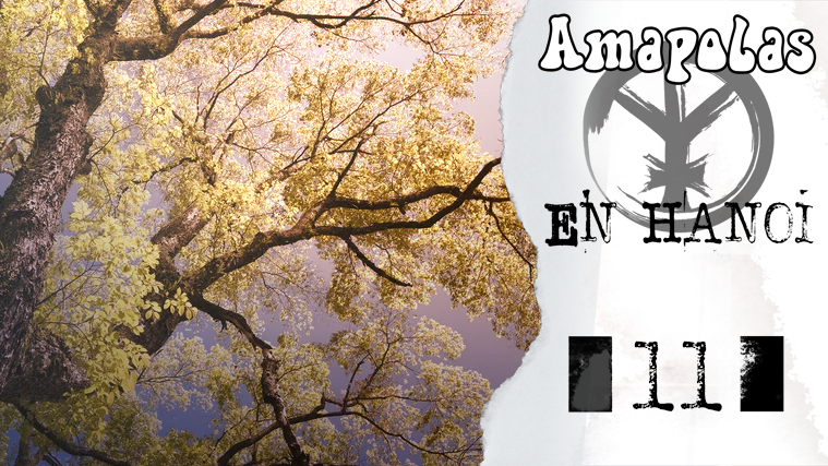 Ya está subido (a pesar de las incidencias) 

AMAPOLAS EN HANOI: ep [11] Un árbol
con <a href="/NarradorManche1/">Narrador Manchego 🎲🌗📜🌘</a> @SoarinLion <a href="/osamamivater/">Synthetic Freedom Fighter</a> <a href="/a_adban/">Kórzhin iz Adbán. Él (Cis)📜🎲🌗 🏳‍🌈</a> e <a href="/IsaakoDMendez/">IsaaKo DungeonMendez</a> 

youtu.be/GMQfjab9uvg