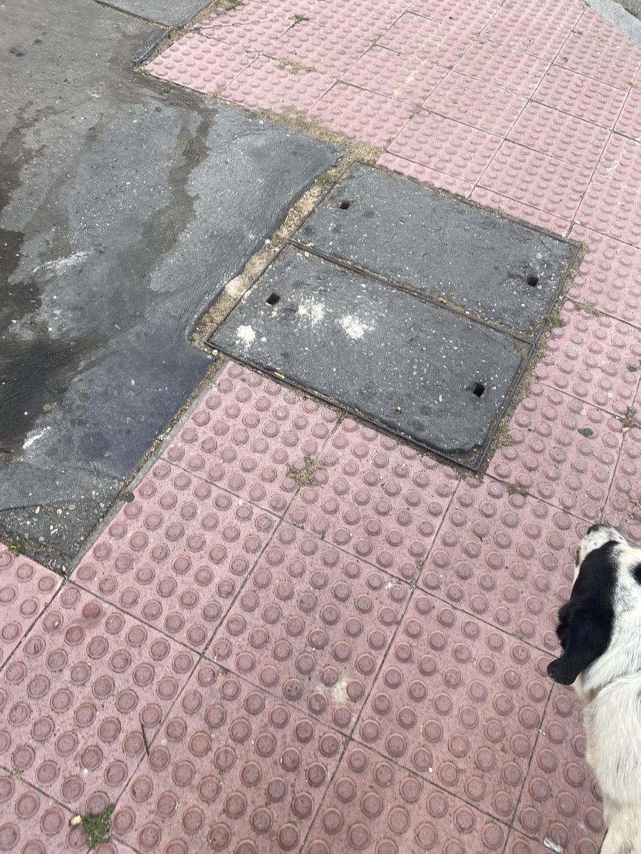 AnaRayaces's tweet photo. Unas calles si y otras no. ¿Por qué ? Ojalá twitter haga su magia y @AyuntamientoVLL pase por aquí algún día a limpiar y pavimentar. GRACIAS @LimpiezaVLL #valladolid https://t.co/yAE7ifWNW2