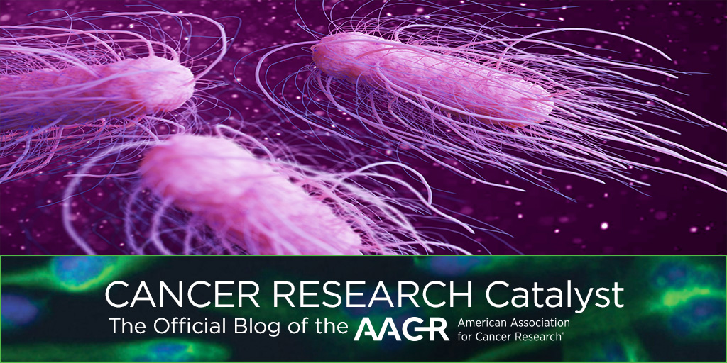 AACR's tweet photo. Emerging research suggests that bacteria could be modified to treat cancer. Learn about recent progress on this front on the #AACRBlog: https://t.co/YlfccD54Hd @UMNews #AACR2023 https://t.co/JUFwZdQoOt