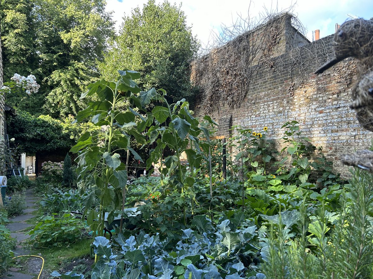 Bandstand Beds tweet media