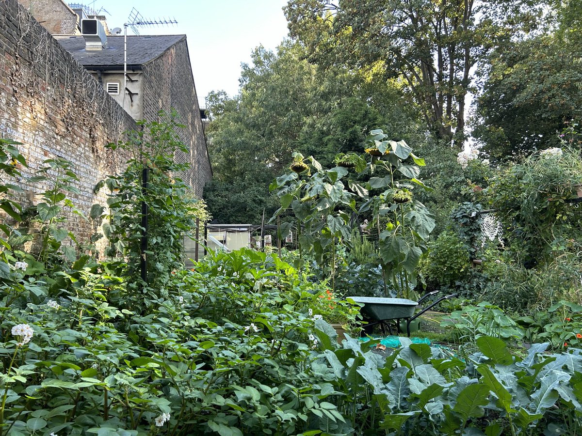 Bandstand Beds tweet media