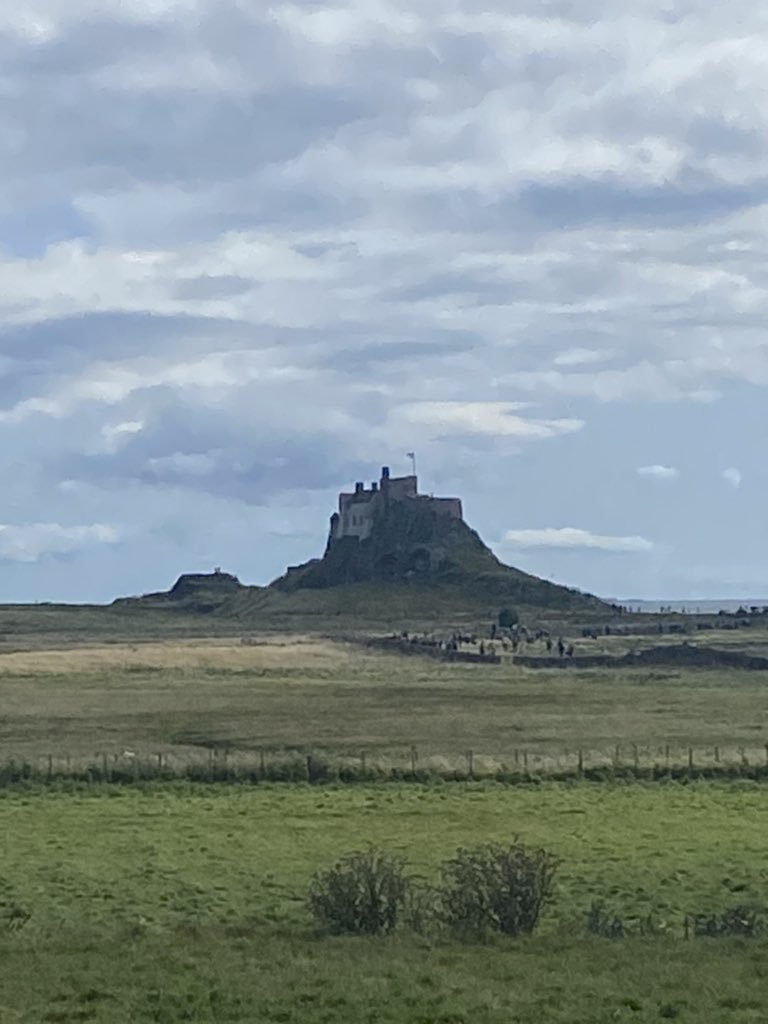 Kenzi KJ tweet media