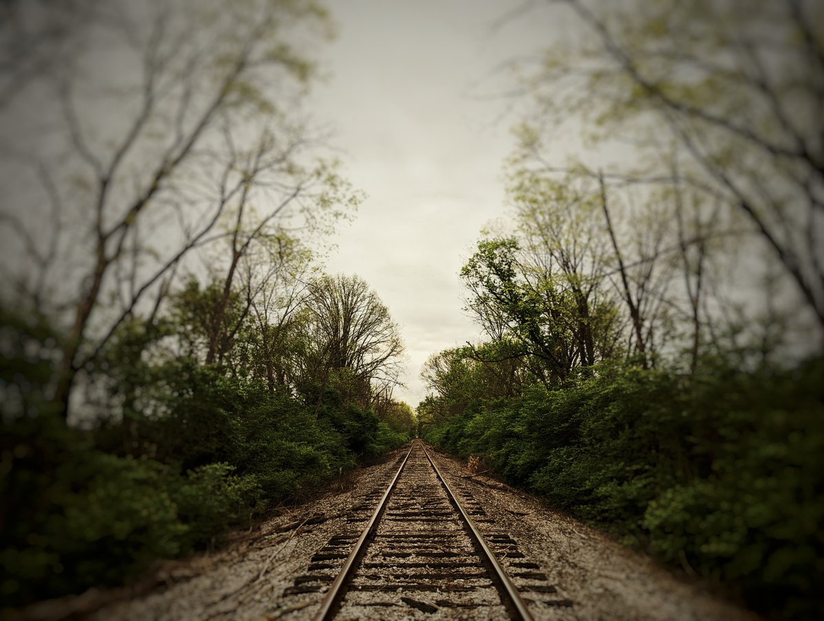 Jodi Kessler tweet media