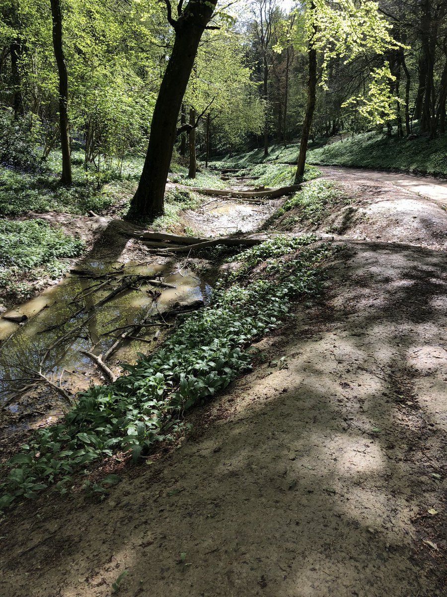 NFMapp's tweet image. Monitoring Natural Flood Management.
Have you recorded the key details of your NFM intervention?
The natural flood management app &amp;amp; portal provides: Standardised recording &amp;amp; 1 click reporting.
To find out more
Email 
Katherine@katherinecolby.com. Subscribe naturalfloodmanagementapp.com