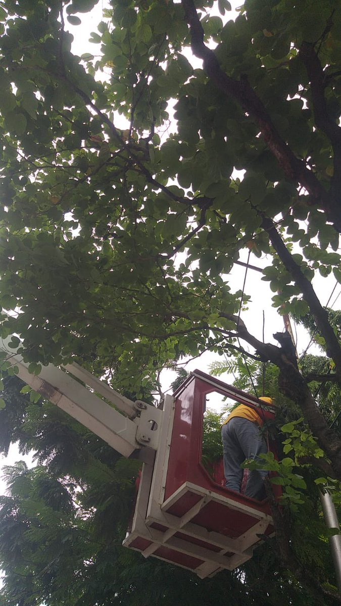 Dy.EE/GHMC/C- 12 &13 tweet media