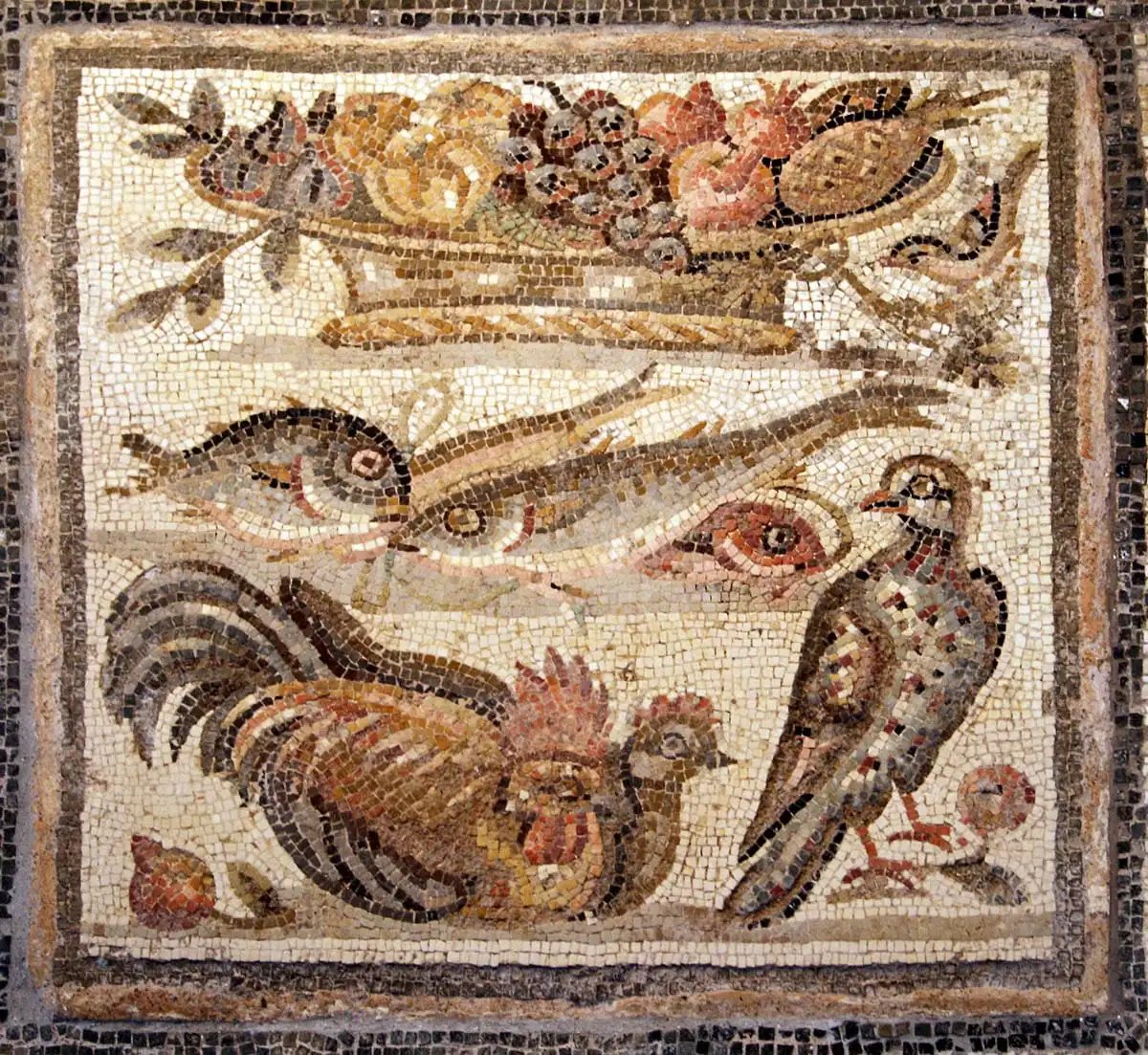 古代ローマの食材。アピキウスの料理書など当時のレシピを眺めてみると、味付けは魚醤のガルムをベースに蜂蜜で甘みを加え、ハーブや香辛料をふんだんに使っている。想像するに、甘辛くスパイシーな味付けがご馳走だったのだろう。 
