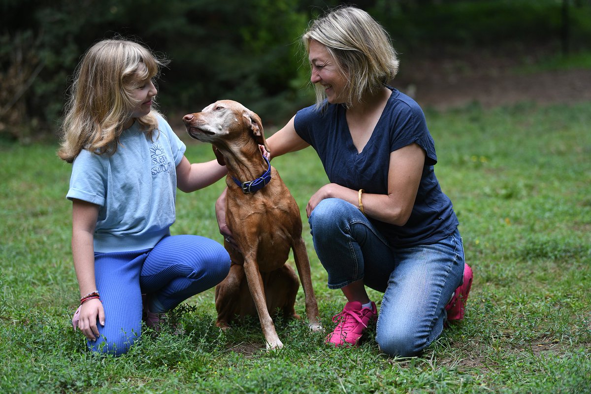 DOGGONE IT: A visla from Durham Region has performed plenty of tricks and landed some great acting roles, but starring in the new Netflix show "Painkiller” tops the list. <a href="/netflix/">Netflix</a>

durhamregion.com/news/claringto…
