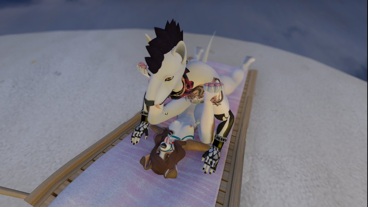 collie_alice's tweet photo. Being @TheFoxehFxus22 good pup #SecondLife #furrynsfw #goodpup https://t.co/6zaTmAcPOb