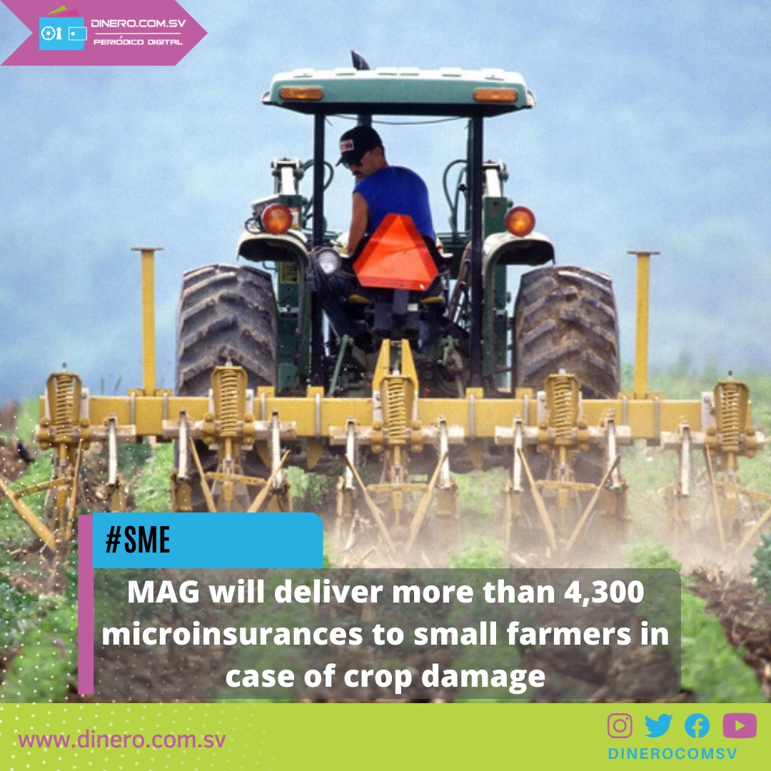 dinerocomsv's tweet photo. #SME @AgriculturaSV will deliver more than 4,300 microinsurances to small farmers in case of crop damage 

Read it here: https://t.co/raWpdKrIIW

#MAG #microinsurances #Farmers #cropdamage https://t.co/0Z74W6d6gB