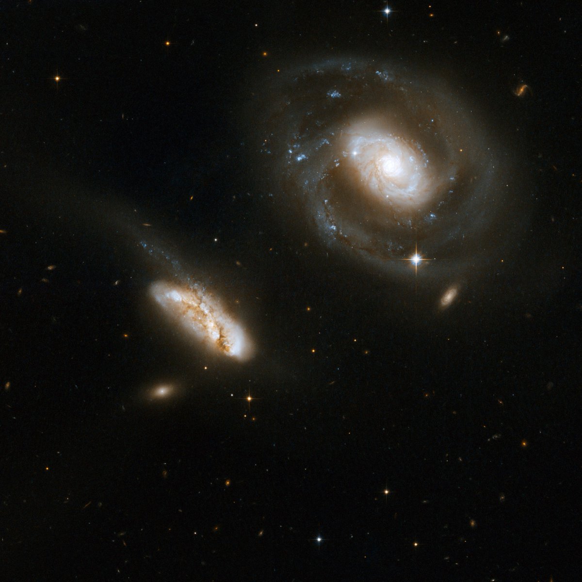 NASAHubble's tweet photo. 200 million light-years away, these galaxies are locked in a cosmic dance.

In this #HubbleClassic view, the galaxy NGC 7469 (upper right) contains a powerful and luminous star-forming region at its center. Its smaller companion is named IC 5283: https://t.co/AM5FOmo3HQ https://t.co/4URZboGMaV