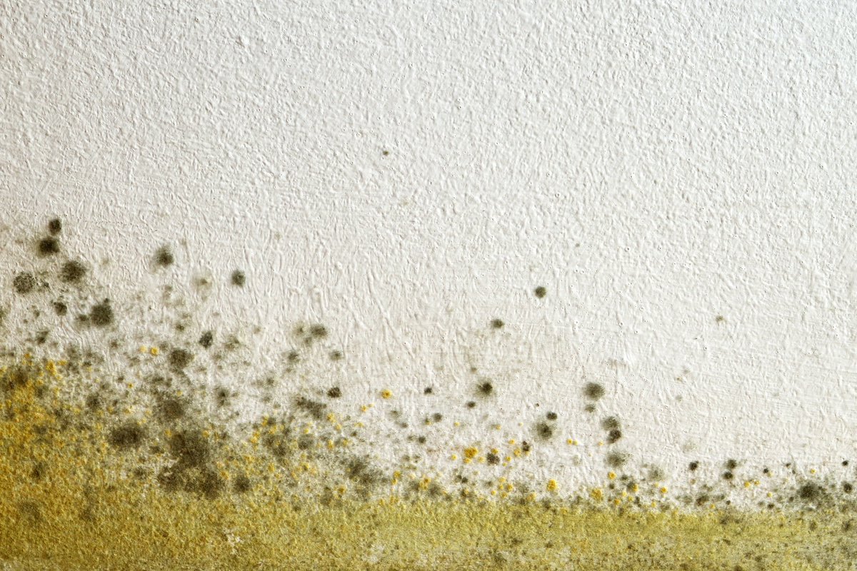 Council to pay £5,400 compensation after damp and mould issues unresolved for over three years hqnetwork.co.uk/news/council-t… #UKHousing