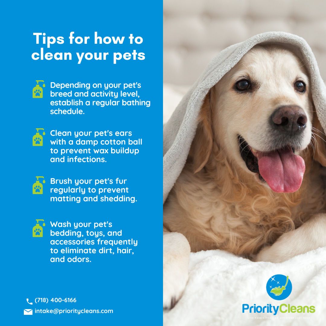 Discover the joy of a clean, happy pet with these simple yet effective tips. 🐾🛁 Embrace the bonding time while ensuring your furry friend's hygiene. #PetCareTips #CleanPets #prioritycleans #cleaningservices #cleaningtips #cleaningsolutions #residentialcleaning