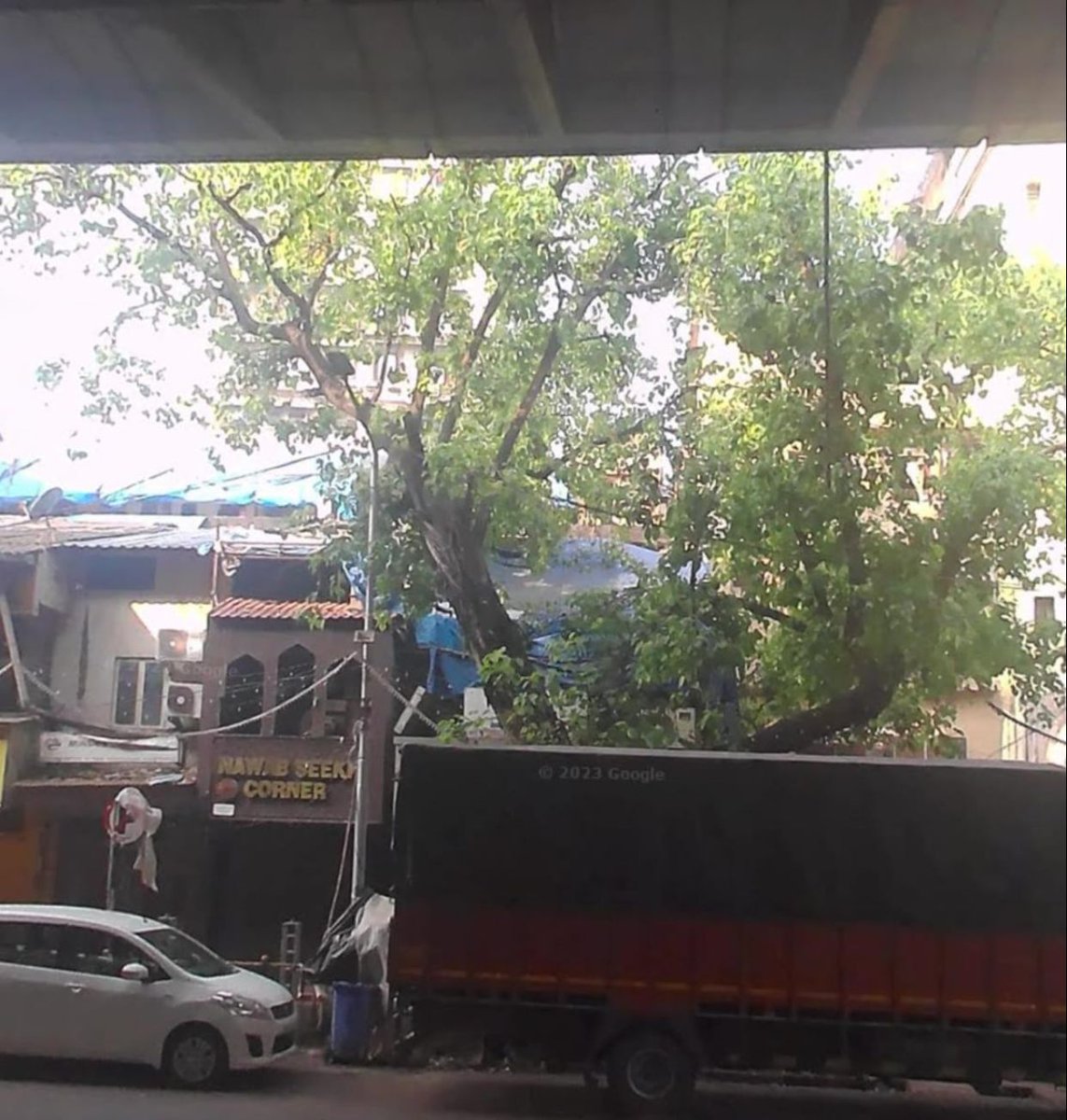 VrnewsIn's tweet photo. 84 A मोहम्मद अली रोड मस्जिद बन्दर मुंबई,3 contractor नेअवैध बन रहे मॉल  के लिये नियम को ताक पर रख 25 फ़ीट ऊँचा हरा भरा पेड़ काट दिया पर्यावरण को नुकसान पहुंचने और प्रदूषण एक्ट के तहत मामला दर्ज किया जाये
@CMOMaharashtra @mybmcWardB 
@CPMumbaiPolice @SMungantiwar @IqbalSinghChah2 https://t.co/LiIfoItq9O