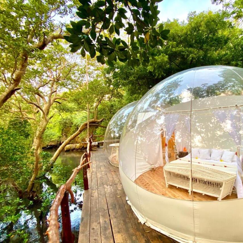 TravelCaliber's tweet photo. Escape to a world of luxury and relaxation, surrounded by nature's beauty. Our exclusive experiences are designed to pamper you and let you reconnect with the natural world. Go on safari, snorkel in the crystal-clear waters, or take a leisurely sail on a Dhow. https://t.co/iuug9U51GN