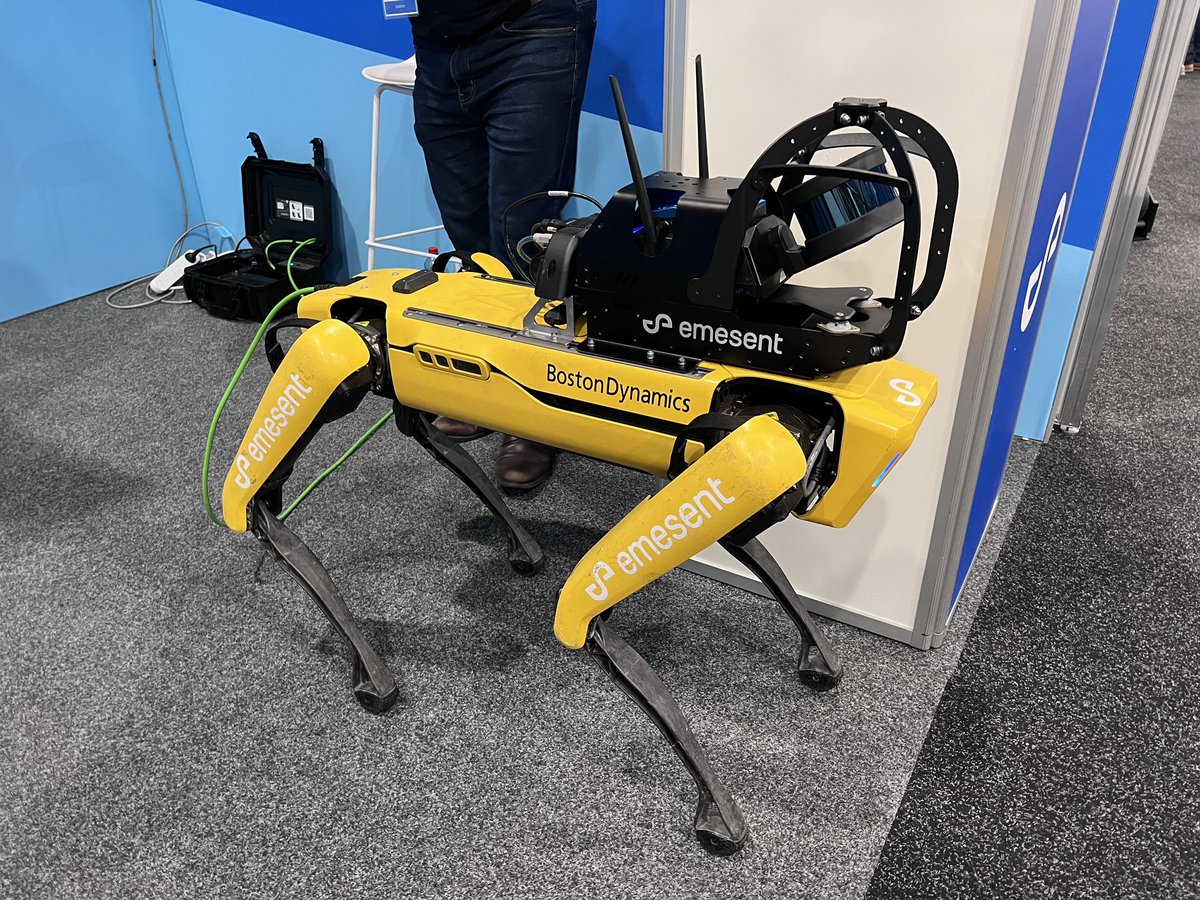 Rowena Morris tweet media