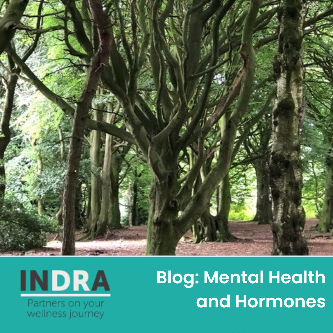 Dr Ailsa Care has provided us with our latest blog, discussing hormones and mental health.  To read it in full please click here: drindra.co.uk/mental-health-…

#hormones #mentalhealth #hormonesandmentalhealth #bhrt