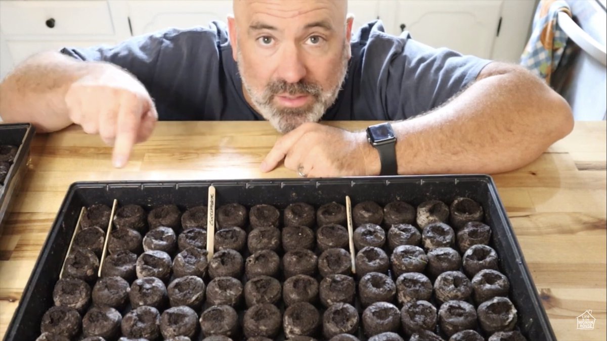 amyhigha's tweet photo. Time to start some cold weather plants! Check out our latest episode from Life in the Higham House! 
https://t.co/Wn5Y1Z3gQM

#lifeinthehighamhouse #garden #homestead #Homesteading #veggies #vegetables #vegetablegarden #vlog #vlogger https://t.co/BpLbWMyesk