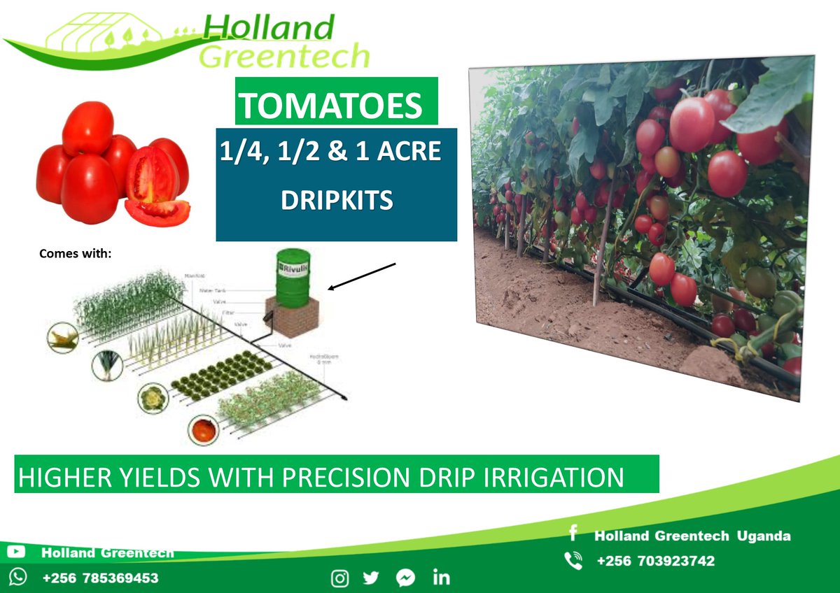 Holland Greentech Uganda tweet media
