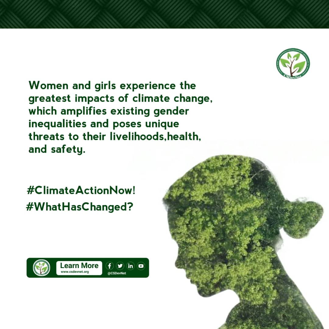 Climate & Sustainable Development Network tweet media