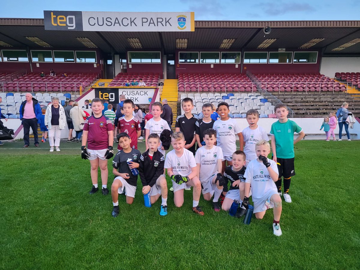 Westmeath GAA tweet media