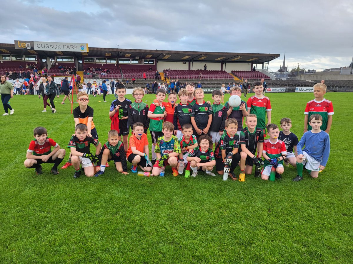 Westmeath GAA tweet media