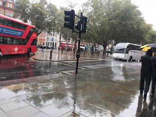 yvonnebarlow's tweet photo. Find the sunny side of the street
https://t.co/LmCcaY9YKL https://t.co/Fwpjcno7Wz
