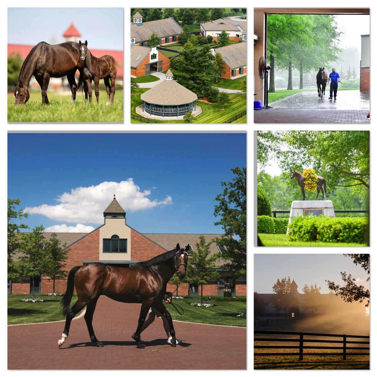 Weatherbys Limited tweet media