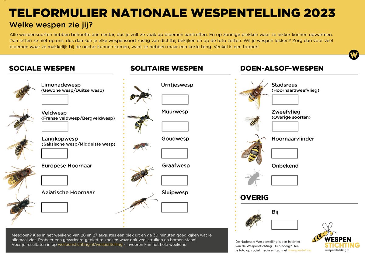 Oproep: aanstaand weekend, dus op 26 en 27 augustus, is het weer tijd voor de Nationale #Wespentelling !
Neem een half uurtje de tijd en tel in je eigen omgeving hoeveel wespen (of wespennesten) je ziet. Je kan de resultaten invoeren via onze website.   
wespenstichting.nl/wespentelling