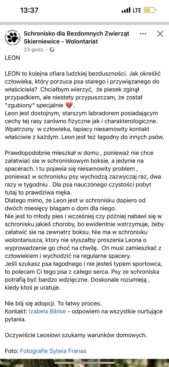 zuzannaszewczyk's tweet photo. Błagam przeczytajcie historię Leona i zaadoptujcie go lub chociaż dajcie RT😭😭😭😭 https://t.co/oy941Jkuhr