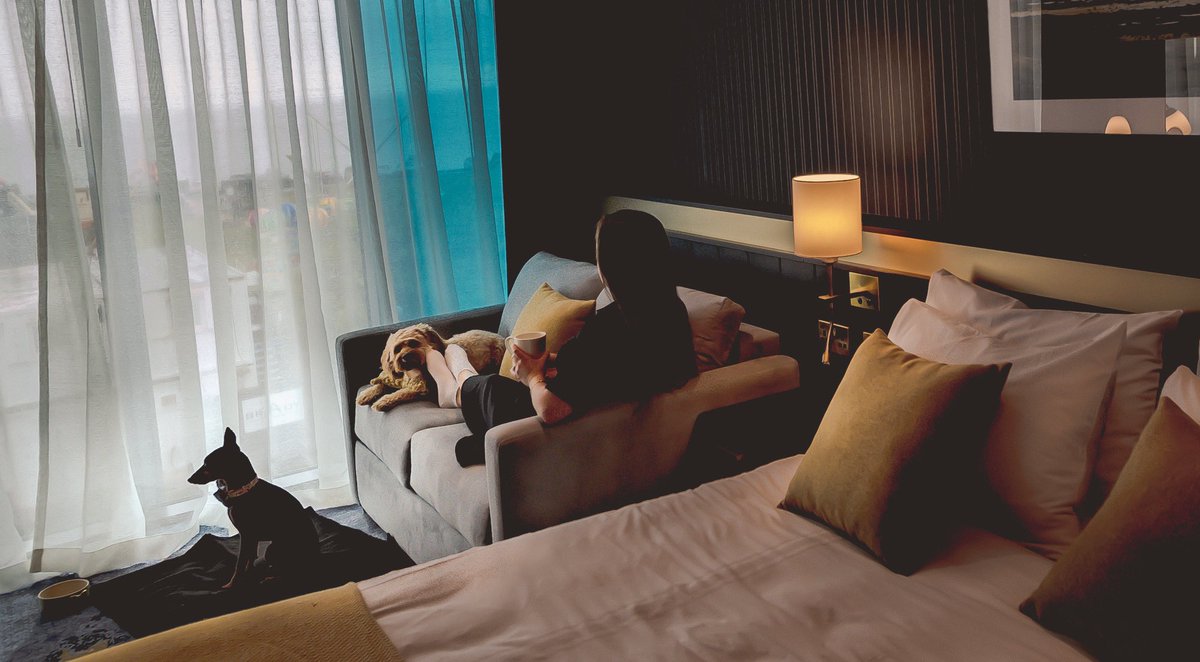 A few weeks ago I was asked to #photograph some content for the Mecure in #Paignton, showcasing their #dog friendly hotel, with accessories by Tracy Andrews owner of <a href="/theddco/">TheDDCompany</a>.  Thanks to <a href="/program_agency/">Program Agency</a> for some top draw modelling, along with all the dogs! …thwilliamsphotography.myportfolio.com/about