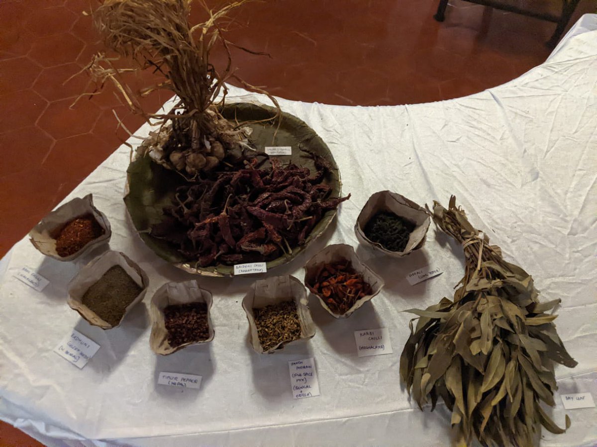 SocratusW's tweet image. On Aug 10- 11, @SocratusW curated a convening at the AGROECOLOGY DONOR CONVENTION 2023 @FundAgroecology (BAF). In line with our #ecosystems approach at Socratus, BAF is committed to revolutionizing #foodsystems by #fosteringsynergy among civil society, public actors and donors.