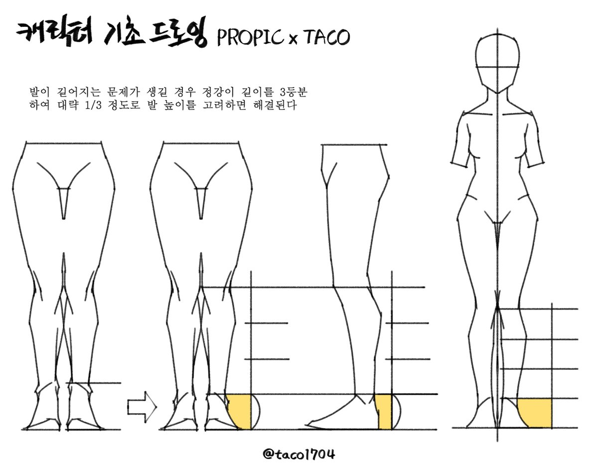 발이 길어지는 문제가 생길 경우 정강이 길이를 3등분 하여 대략 1/3 정도로 발 길이를 예측한다 