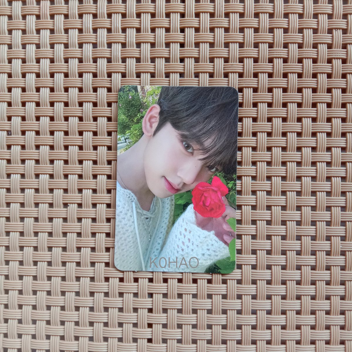 K0HAO's tweet photo. WTS // want to sale

Zhanghao makestar meong/ cat
Yujin bunga/ shade
Ready ina bisa keep event (with dp)
Dm for more info and condi
Dom bandar lampung

🏷️ zerobaseone zb1 photocard pc flower zhang hao wtb youth in the shade https://t.co/Uh8r9zq9Of