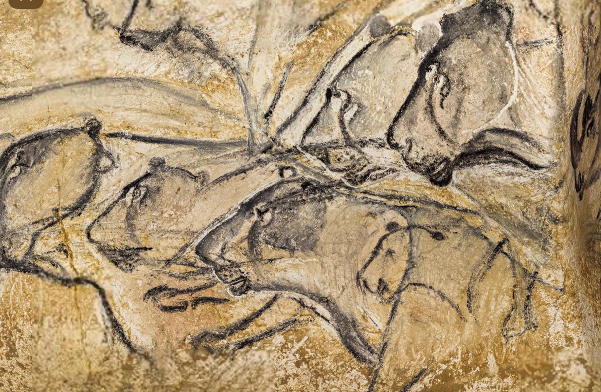 Nicolas Milovanovic tweet media