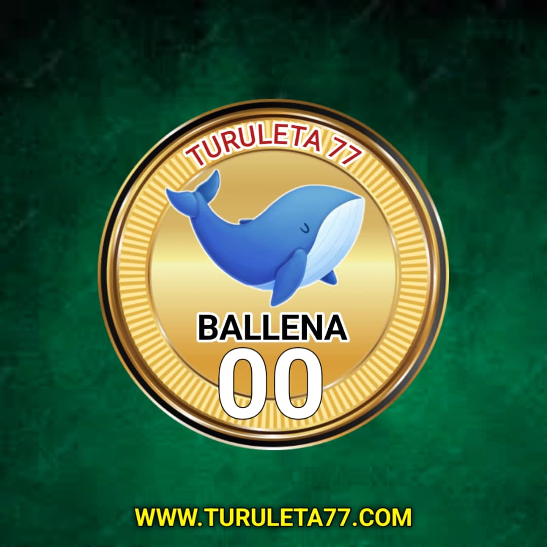turuleta77's tweet photo. #Resultadosturuleta77 || 21/08/2023
🕓 03:00 PM || 00 BALLENA

Nuestros  resultados en la web https://t.co/almE3pq3so https://t.co/7jt4PhuGqn