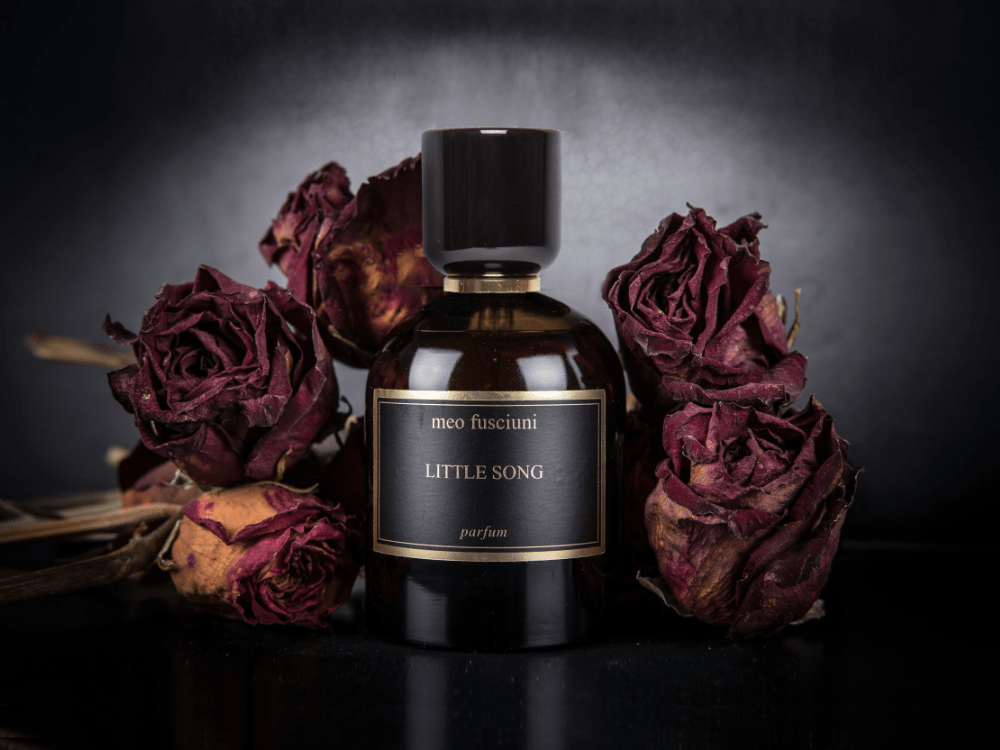 新商品】 Meo Fusciuni｜リトルソング 人生を容赦なく通り過ぎていく